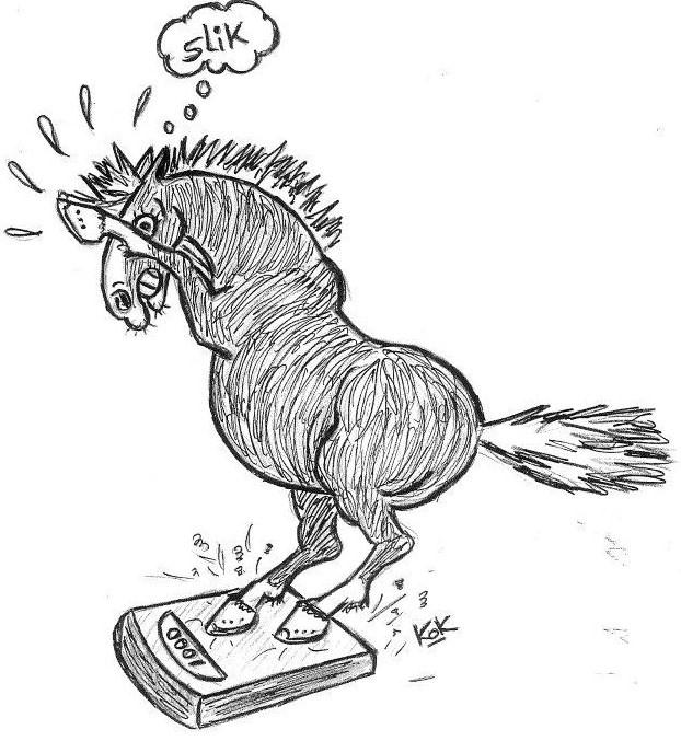 Laat je paard of pony wegen